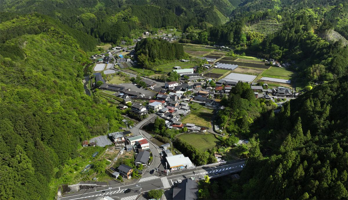 main_cafed73754bfdc63970325b22