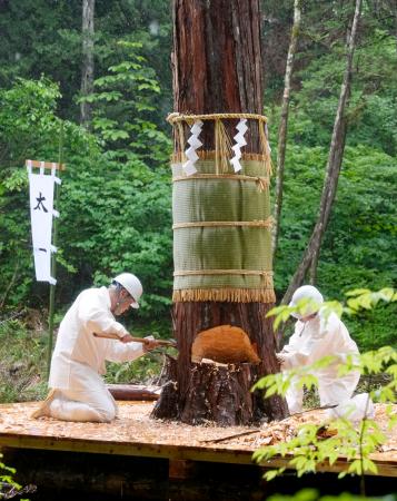 ご神体納める器の木材伐採 長野、伊勢式年遷宮で | 高知新聞
