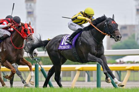 ジャンタルマンタルが優勝 競馬の安田記念 | 高知新聞