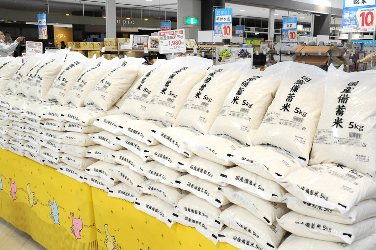 備蓄米はおいしい！？ 24年高知県産米と食べ比べ 正答率は意外な結果