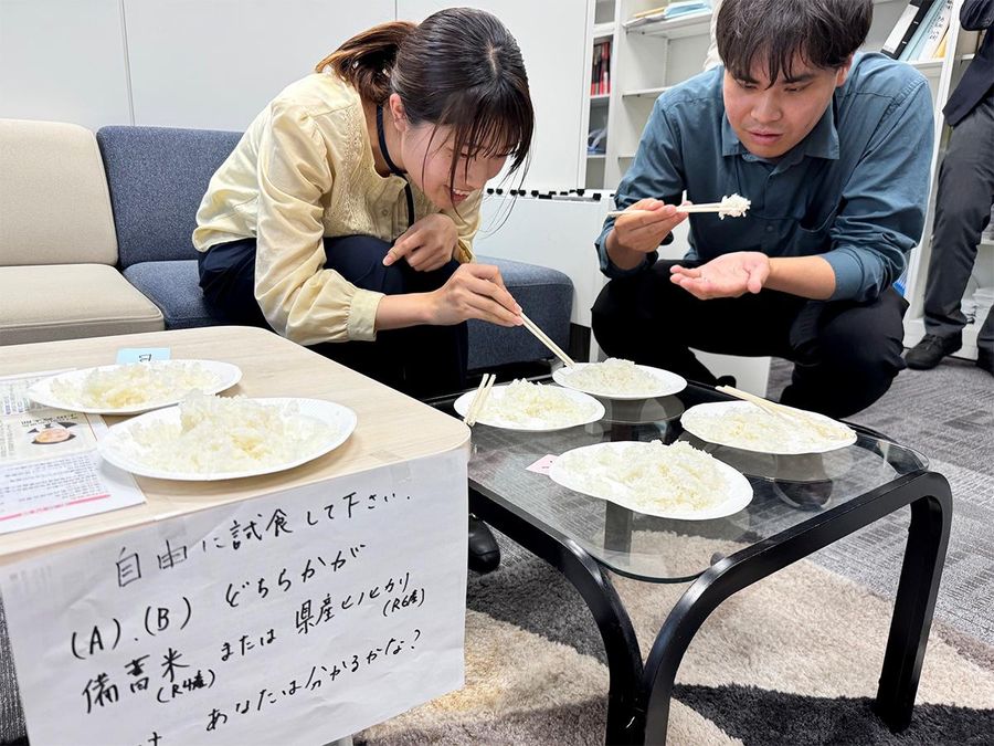 備蓄米と２４年県産米を食べ比べる社員（高知市の高知新聞社）