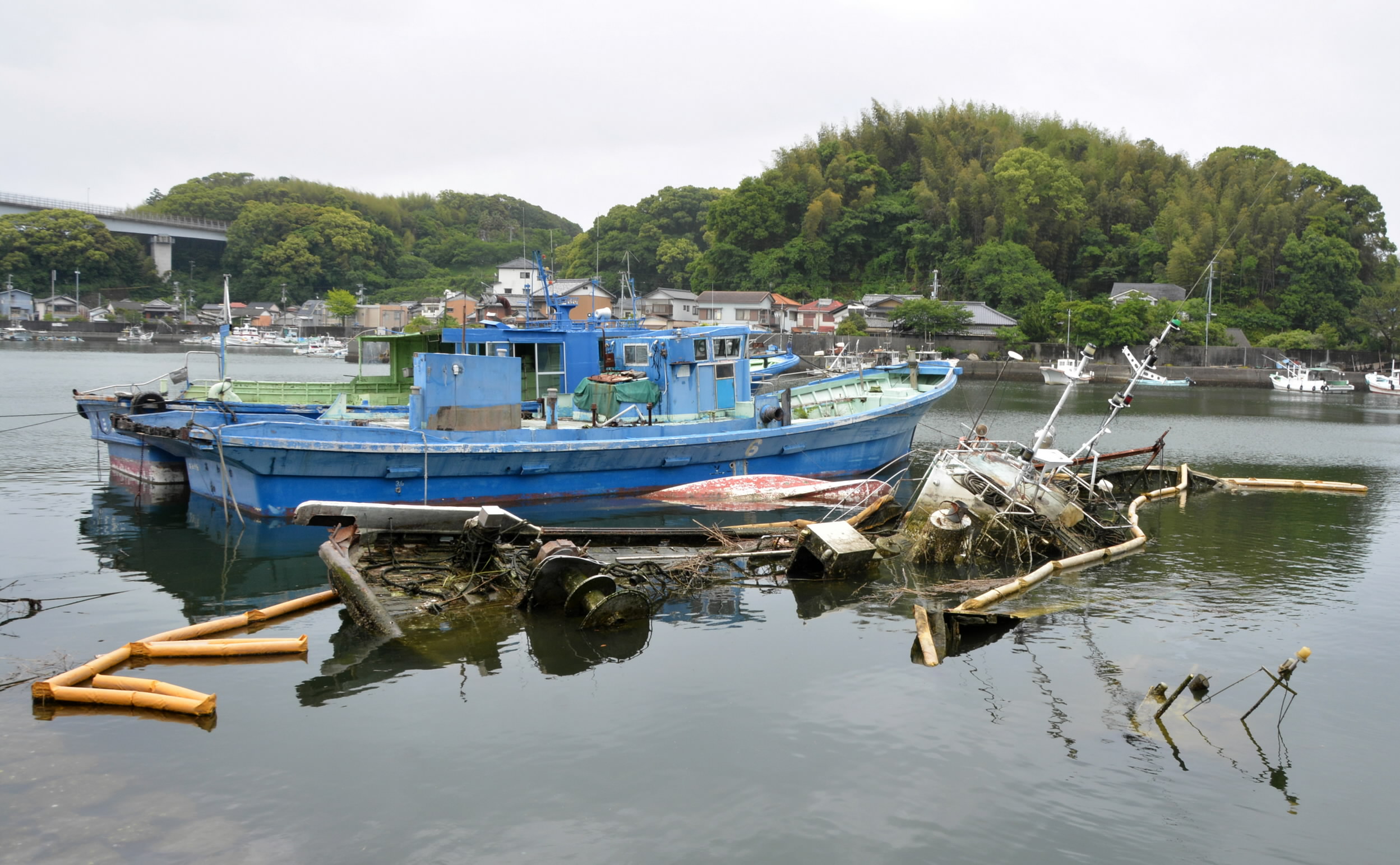 危険な「放置船」高知県内に1千隻超 処分難航、所有者高齢化でさらに