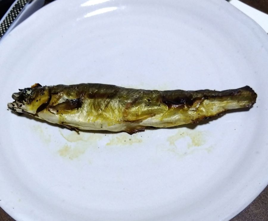 昨年の最後の１尾。ちょっと不格好だけど、今年の安全、豊漁を願っていただいた