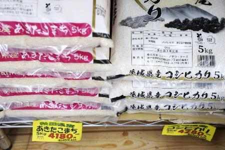 今週採れたて新米！高知県産24キロ✨送料込み S249 ＜2025年11月発送＞令和7年産にこまる ＜選べるkg＞国産 米