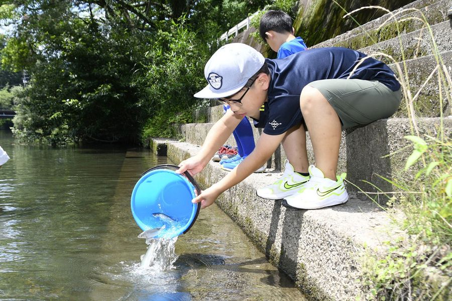 汗見川でアユを放流する吉野小学校の子どもたち（本山町吉野）
