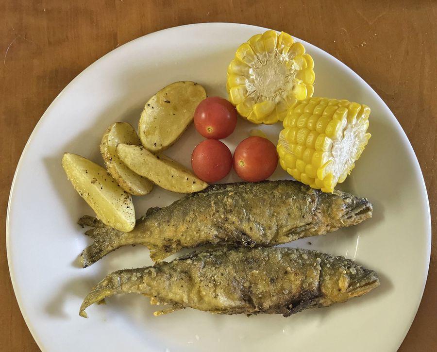 旬のアユと、旬のトウモロコシを組み合わせた、鬼じゃなかった、妻の居ぬ間のイタリアンな一皿