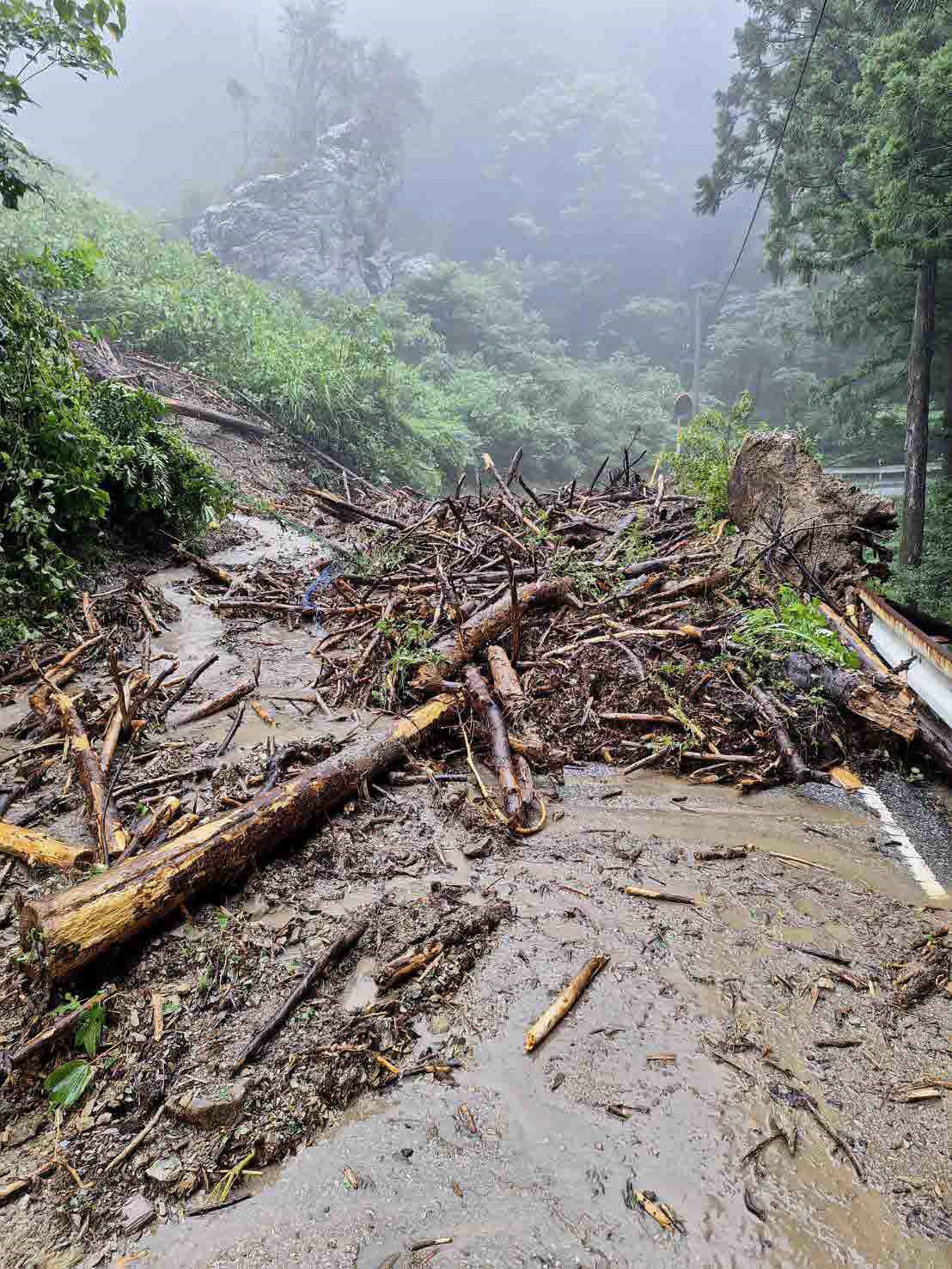 高知県内で大雨、大豊町「大スギ」折れる 土砂崩れや冠水も 線状降水帯