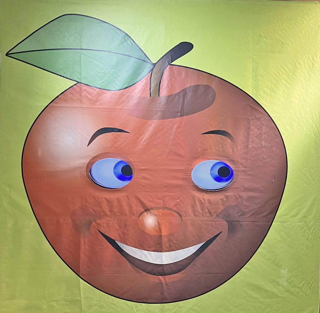 不思議な仕掛け満載 なんで？どうして？が止まらない 「トリック