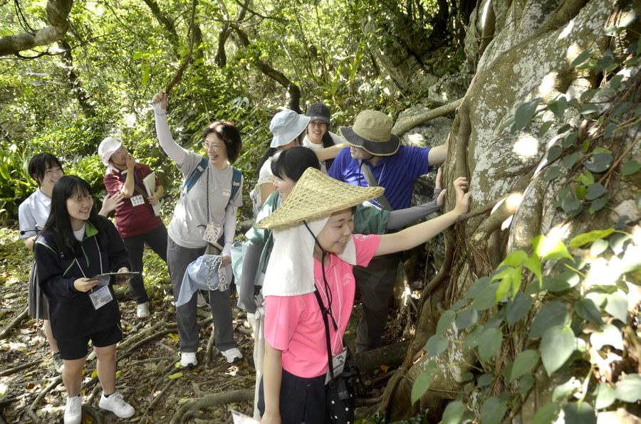 アコウの木を触りながら、室戸高生のガイドの説明を聞くフォーラム参加者ら(室戸市室戸岬町)