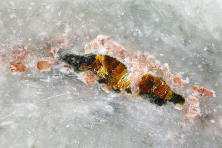 新鉱物アマテラス石を発見 岡山の翡翠から、東大など | 高知新聞