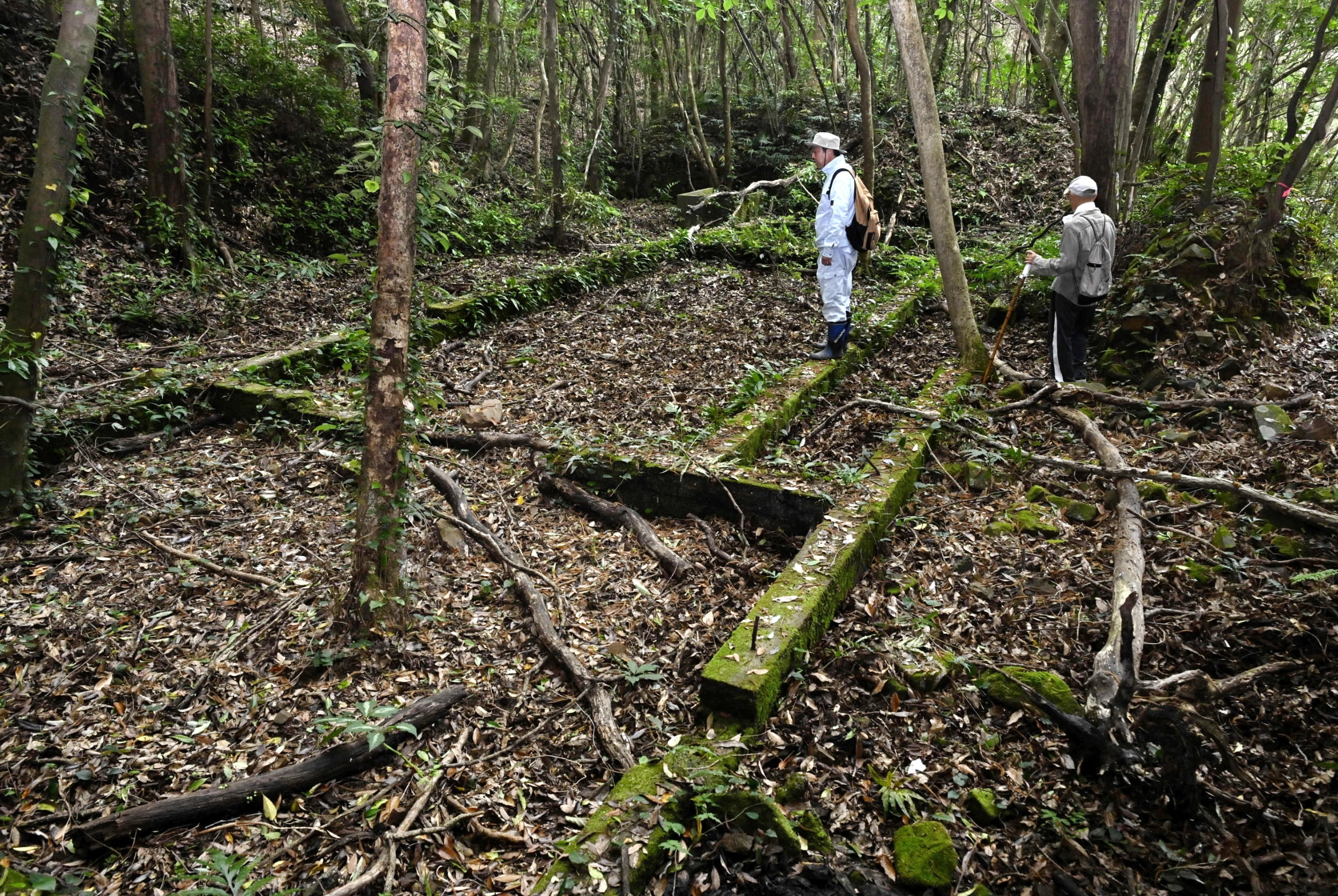 風光明媚な岬の森に80年眠る「戦争遺構」旧海軍レーダー基地が伝える