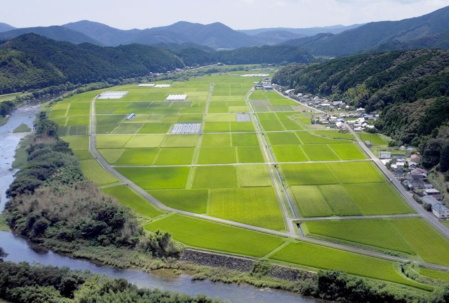 戦争末期、内陸のこの水田地帯に軍用飛行場があった。上空から南方向を望むと、今の水路沿いに滑走路が延びていた様子がうかがえる。奥の山並みを越えるとすぐ太平洋（写真はいずれも四万十町宮内）