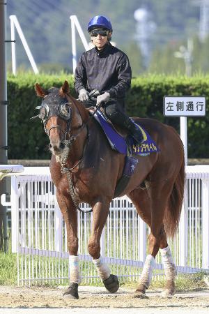 ダノンデサイルは5着 英国競馬のG1レース | 高知新聞