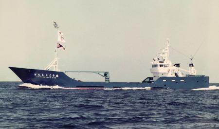 6人不明の漁船沈没で報告書 目立つ損傷なく、経緯不明 | 高知新聞