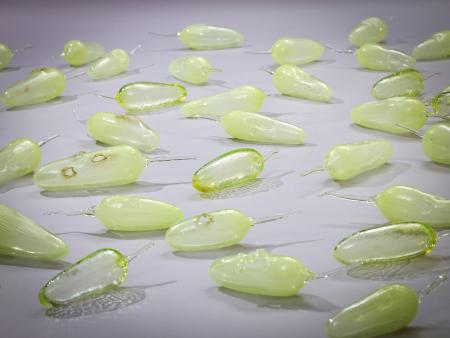 東京ウオッチ】固定観念くつがえした多彩な表現と批評眼―先住民女性