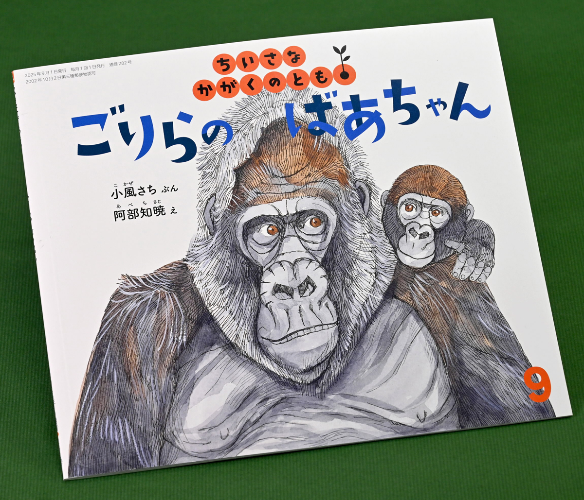 ゴリラだけ描き40年の阿部知暁さん（高知市出身）「おばあさんゴリラ