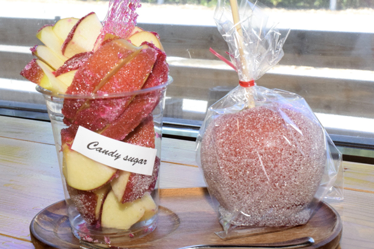 main_a86079d78c83cf00b3cbffb6d