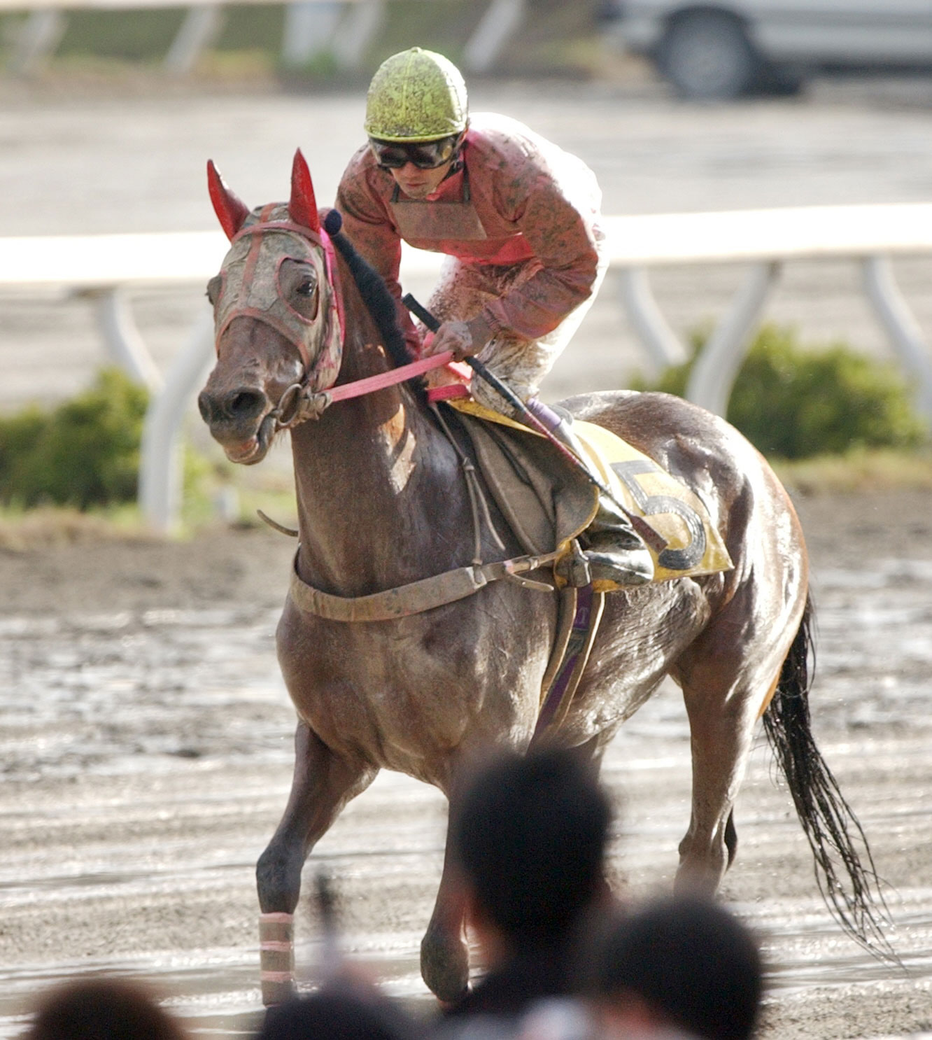 高知競馬 ハルウララ号 根付け　#1 高知競馬 ハルウララ号 根付け #1