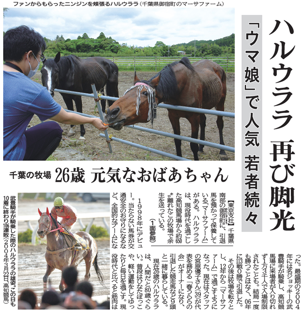 ハルウララ 武豊騎乗馬券 馬券ハルウララ 単勝 ハルウララ 単勝馬券