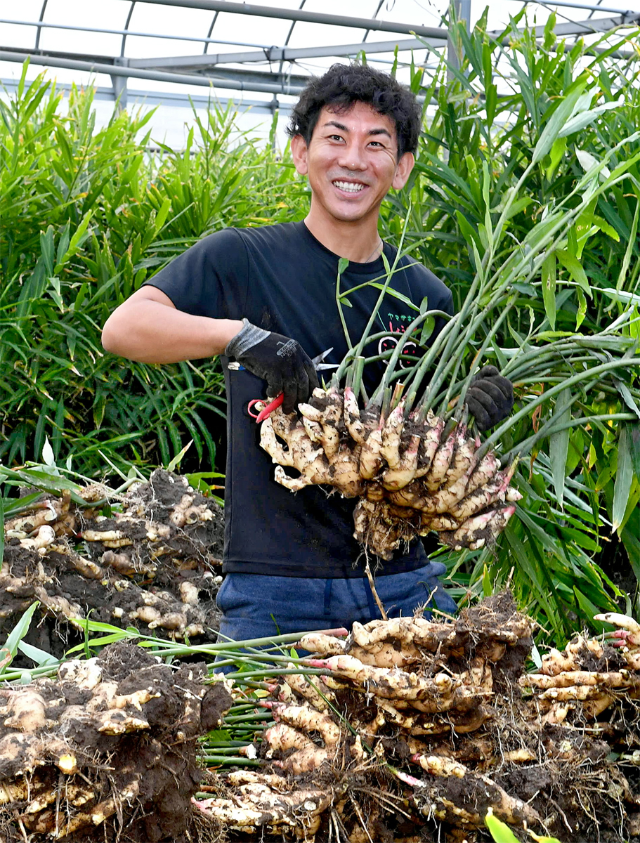 四万十ブランド守りたい ショウガ農家 山崎智也さん（33）四万十市