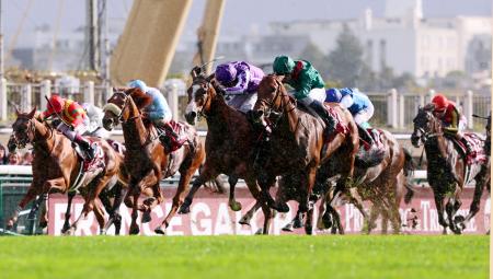 凱旋門賞、日本馬は初制覇ならず フランス競馬 | 高知新聞