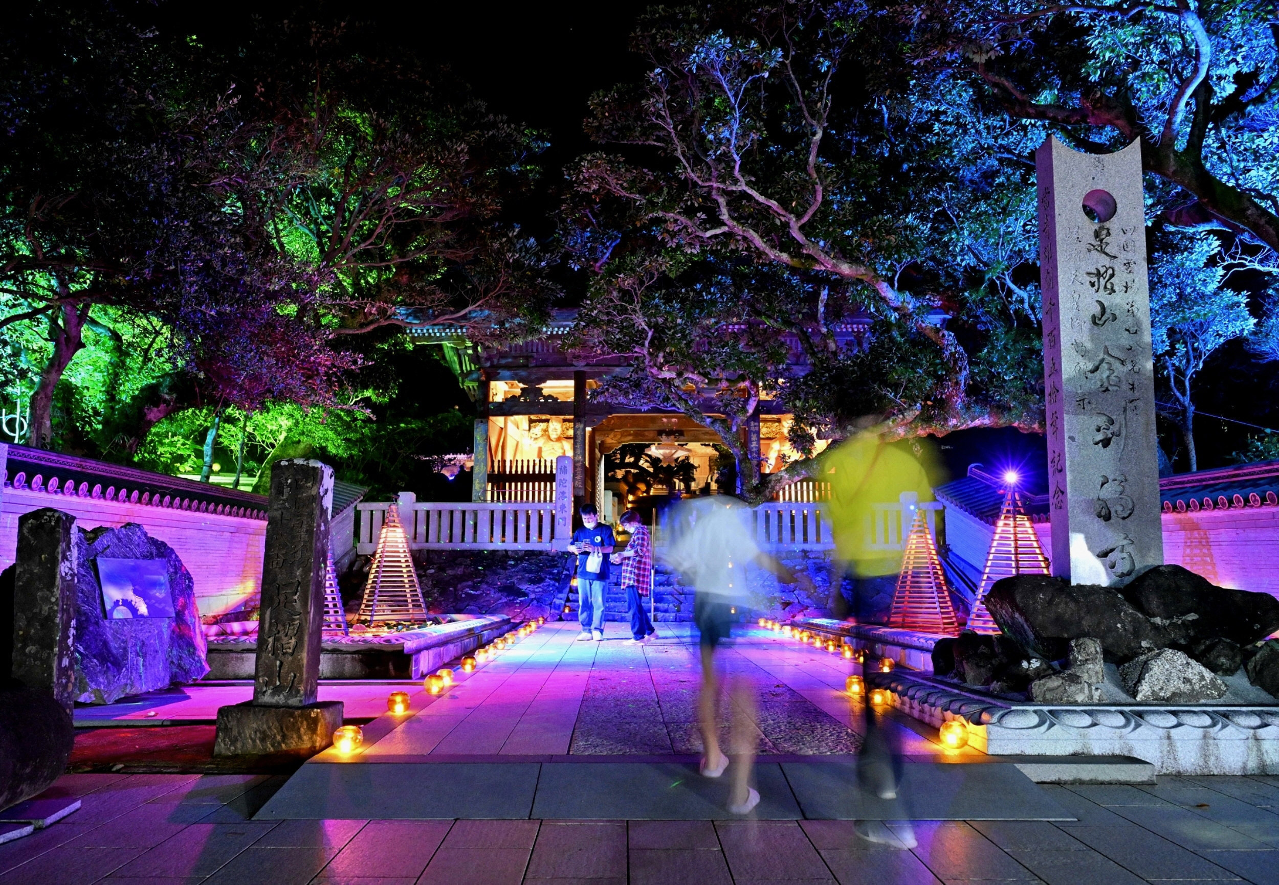 足摺の夜きらり 恒例のイルミネーション10／19まで | 高知新聞