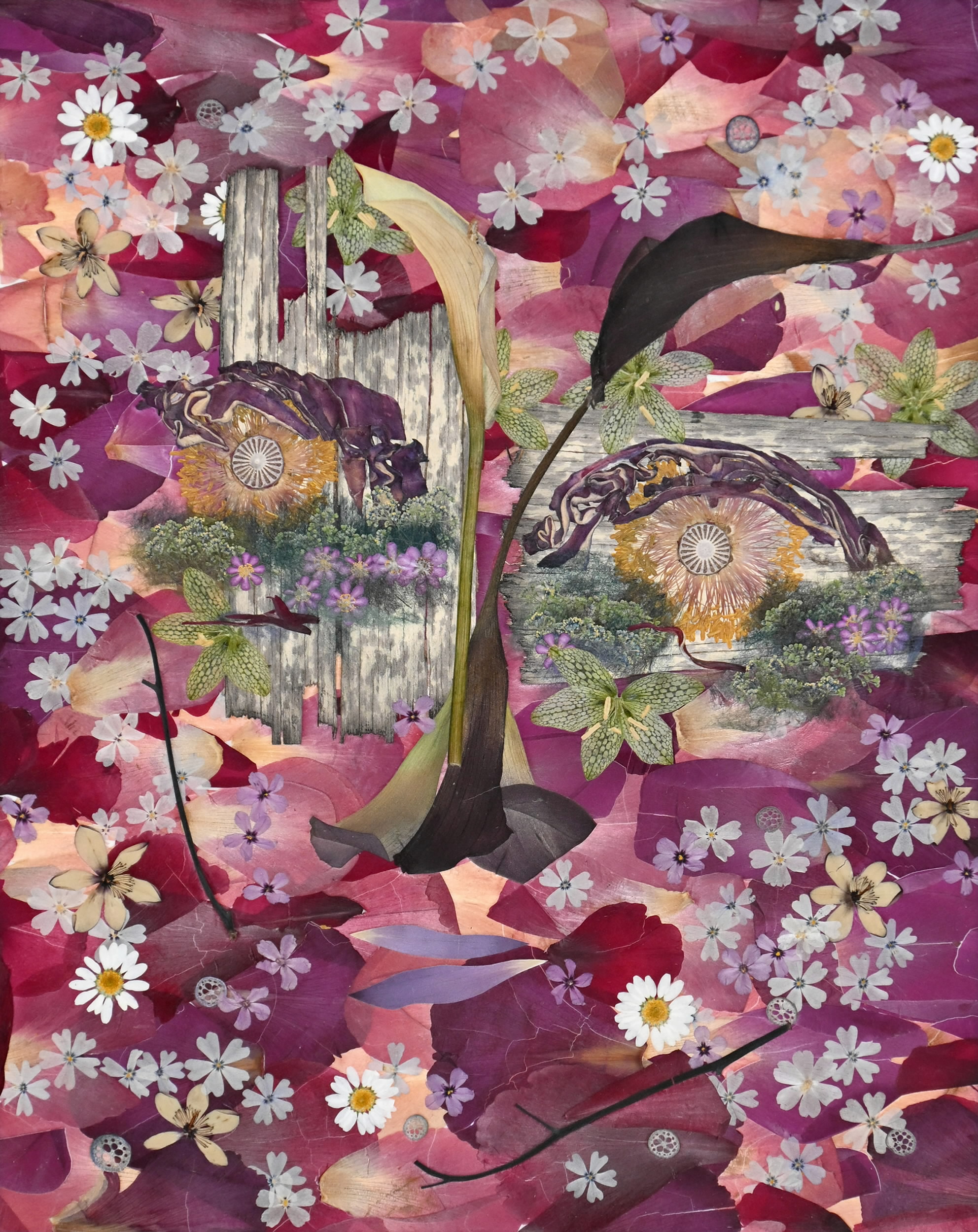 その目はモネの庭「青いスイレン」で国際的「押し花創造展」で最高