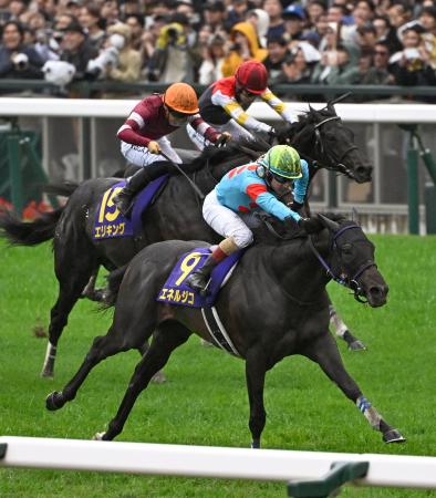 競馬の菊花賞、エネルジコが優勝 G1初制覇で重賞2勝目 | 高知新聞