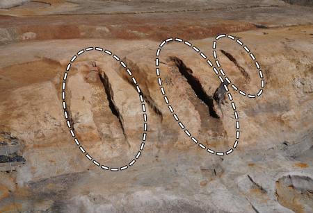 初期須恵器の窯跡発見 倭王権窯と同時期、大阪 | 高知新聞