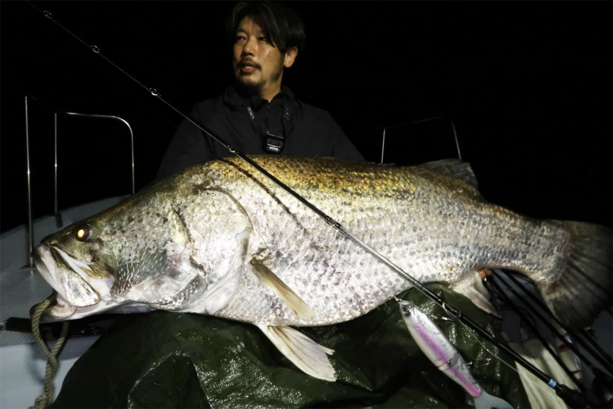 アカメは人生そのもの 夢の130センチ 文化を未来へ―魚信 はっぴぃ魚