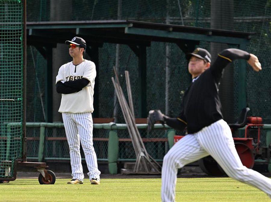 阪神の安芸キャンプに合流し、選手の練習を見守る藤川監督（安芸球場＝森本敦士撮影）