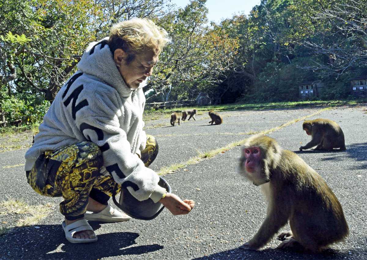 お猿ページ 全文公開】のんびり優しい「お猿の公園」60匹出没 1964年開園