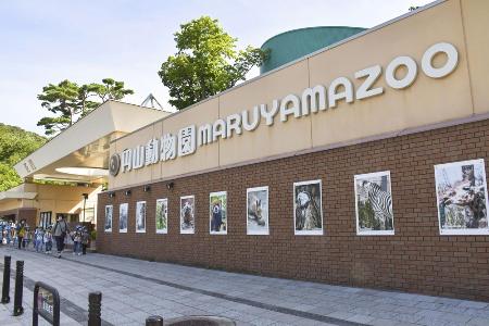 札幌・円山動物園にヒグマの足跡 フェンス越えたか、臨時閉園に | 高知新聞