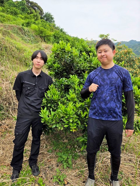 山北ミカンを全国ブランドに 農業運営会社「山北みらい」（香南市