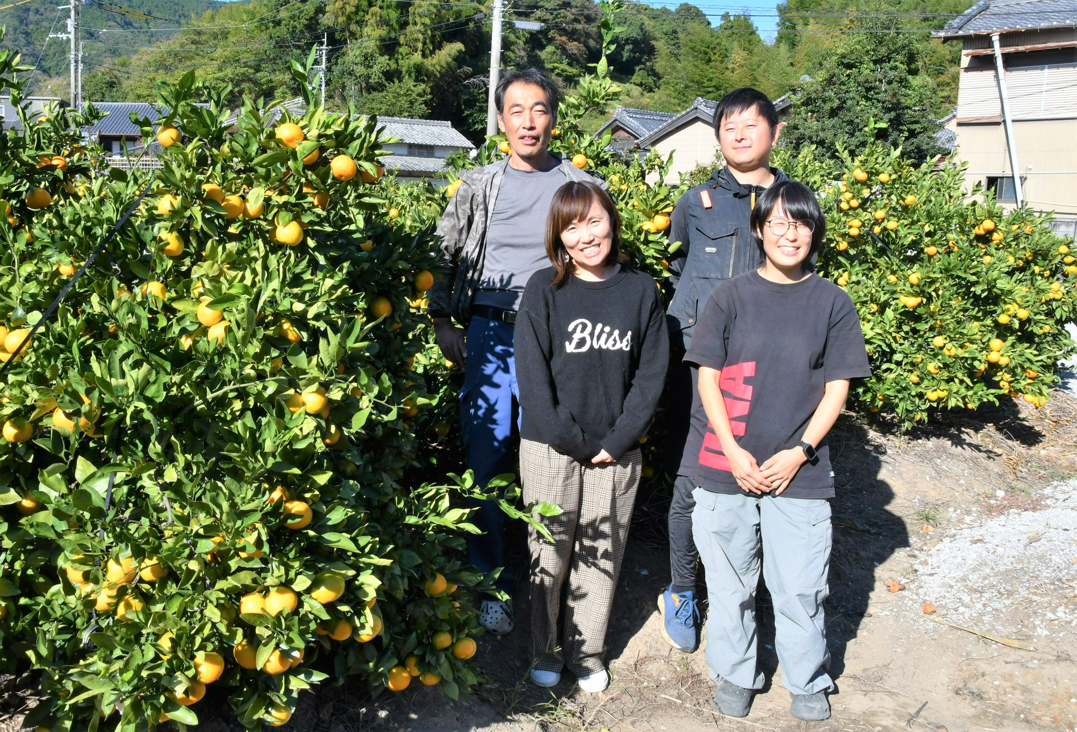 山北ミカンを全国ブランドに 農業運営会社「山北みらい」（香南市