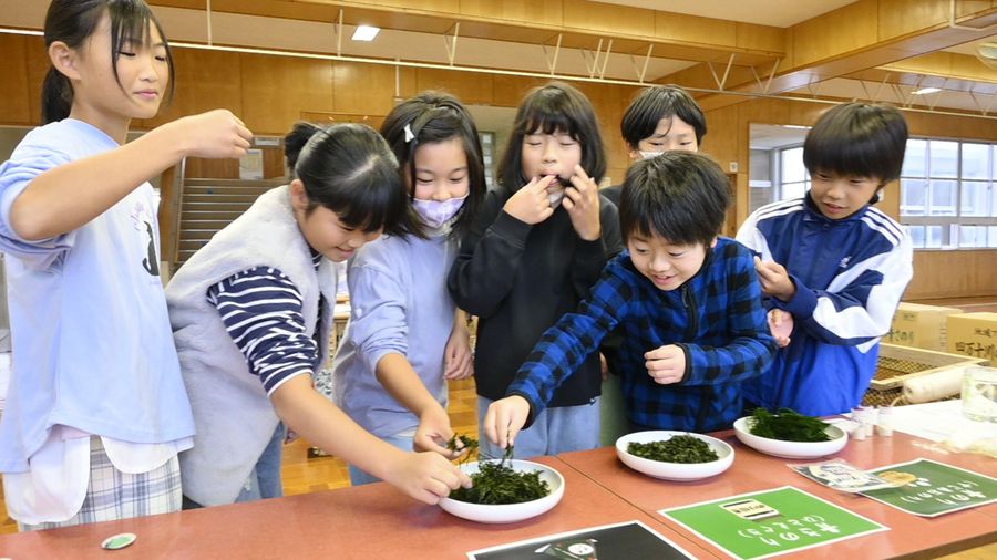 ノリを試食する竹島小児童（四万十市鍋島の同校）