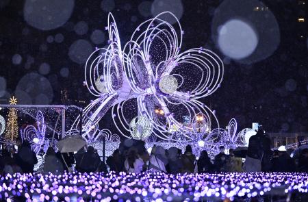 札幌でイルミネーション始まる 77万の光がきらめく | 高知新聞