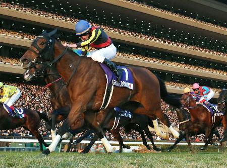 ジェンティルドンナが死ぬ 12年牝馬3冠、G1レース7勝 | 高知新聞
