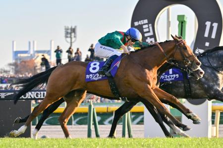 カランダガン　【競馬フィギュア】 カランダガン（Calandagan） | 競馬データベース | JRA-VAN World