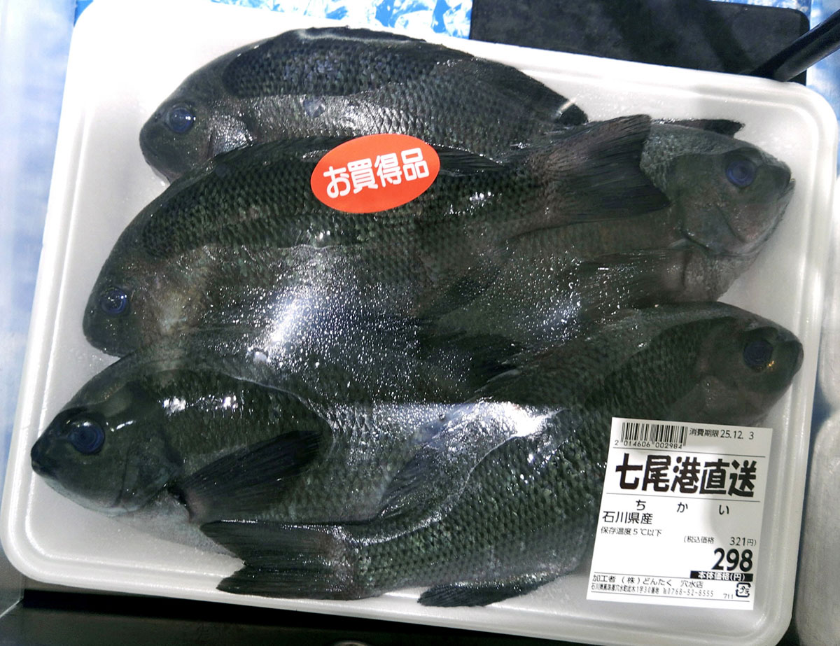 能登の「ちかい」―魚信 絶品！珍品？ 魚（びんび）ん一皿 | 高知新聞