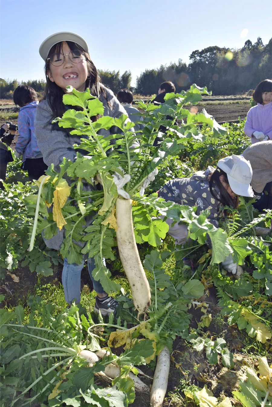 「よいしょ!」と笑顔で収穫する子どもたち(写真はいずれも南国市西山)