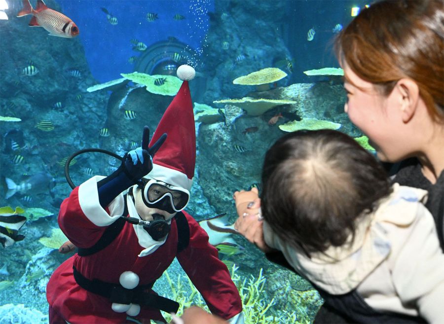 来場者とじゃんけんをするサンタクロース(土佐清水市の足摺海洋館SATOUMI)