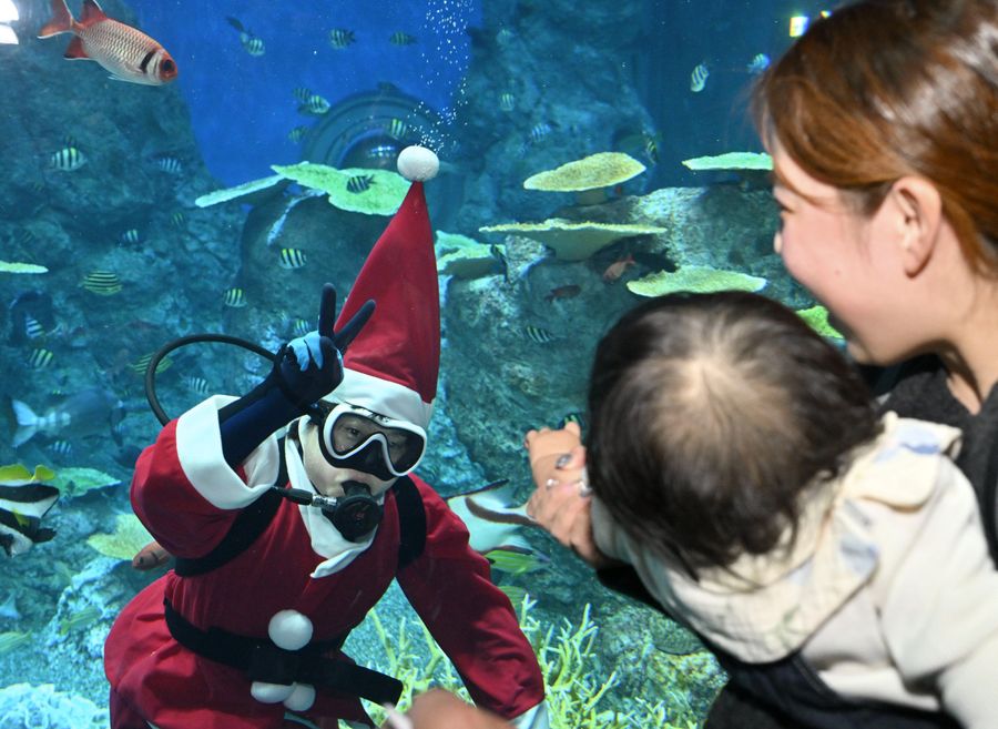 来場者とじゃんけんをするサンタクロース（土佐清水市の足摺海洋館SATOUMI）