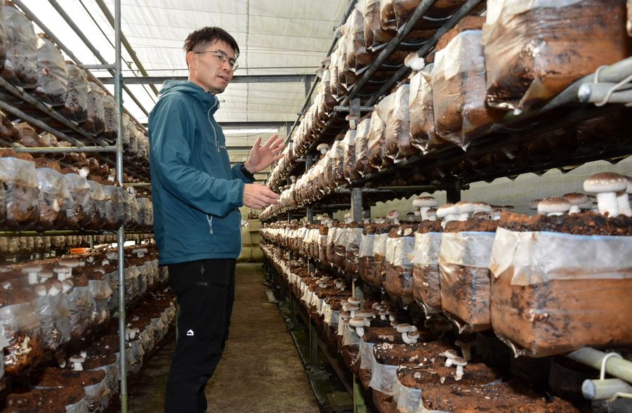 菌床シイタケの魅力を語る野中久徳さん（高知市五台山）