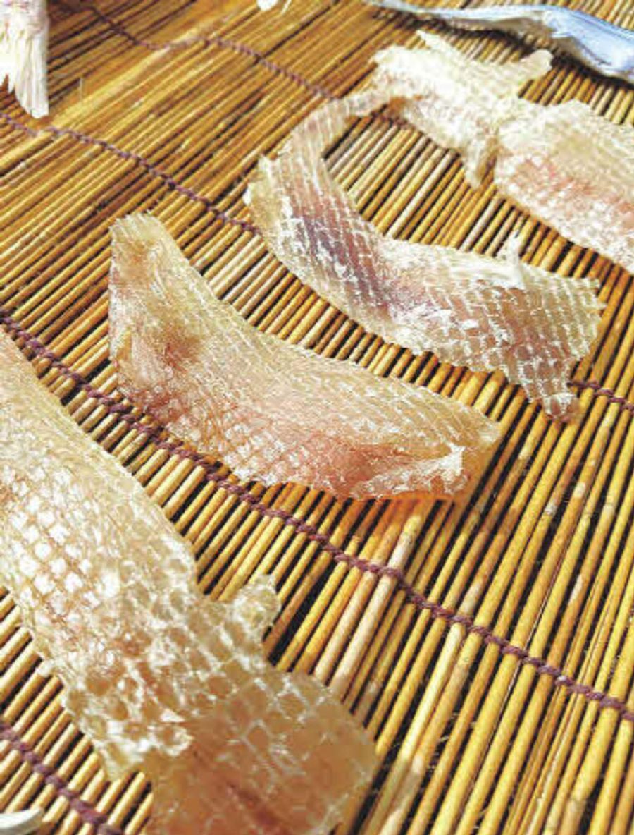 息子が釣ったフカを干物に。忘れられぬ味だろう