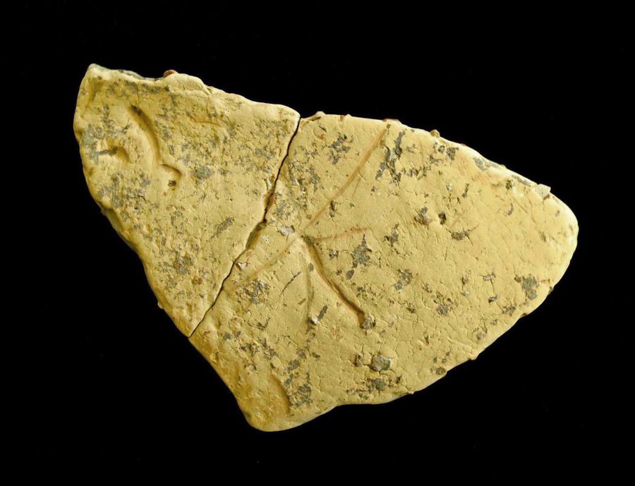 漢字「何不」が刻まれているとみられる刻書土器