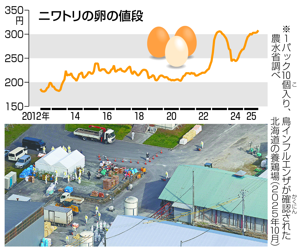 ニュース解説】卵の値段が過去最高に 鳥の病気や消費増で | 高知新聞