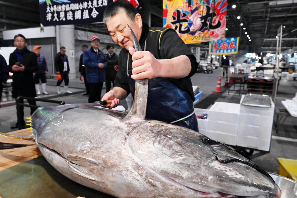 初市マグロの最高値は? 高知市卸売市場でマグロ初競り | 高知新聞 初市マグロの最高値は? 高知市卸売市場でマグロ初競り | 高知新聞