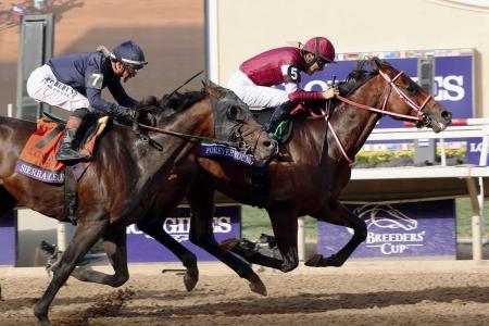 2026010601001332.jpg?w=900