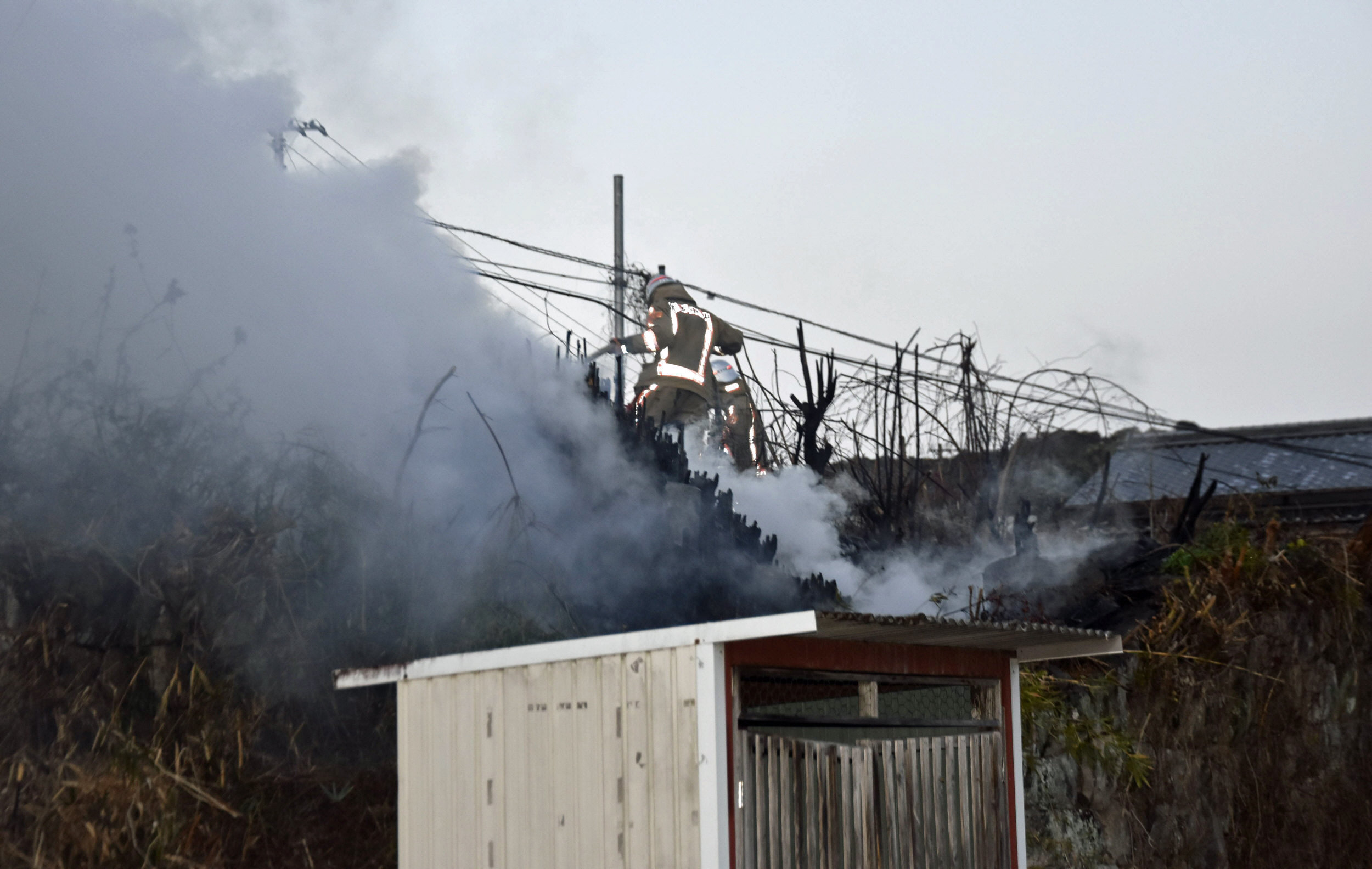 住宅横の林が燃えている」四万十市で雑草火災、女性1人やけど | 高知新聞
